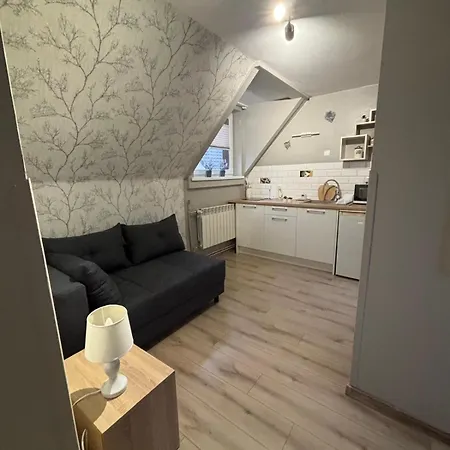 Goscinne Wiktoria Homestay *